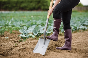 Spades & Shovels