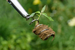 Weeding Tools