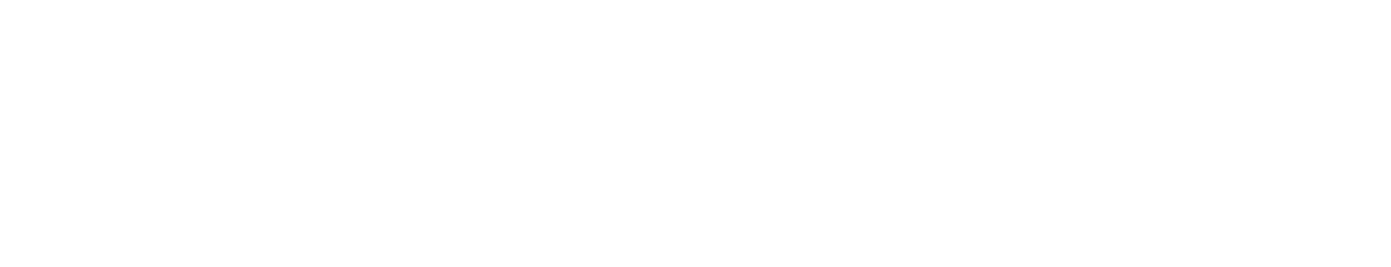 littelfuse Logo