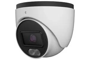 IP Cameras