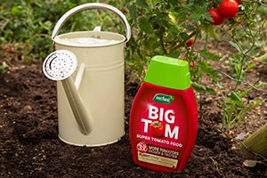 Compost & Plant Feeds